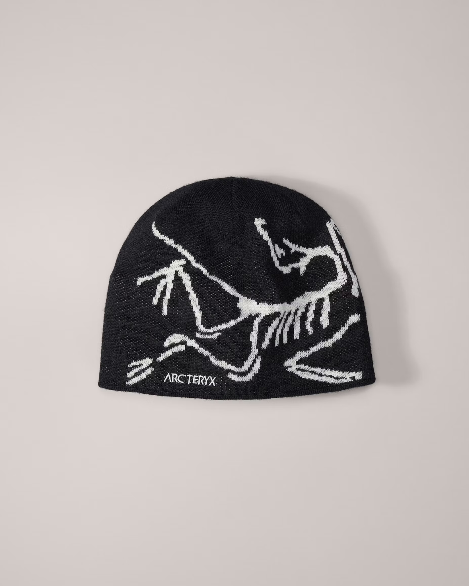 Arc Crest Beanie